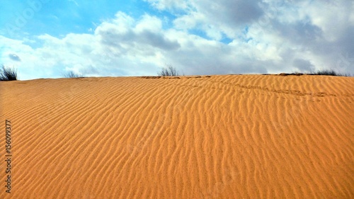 Sand dune in Negev desert.
