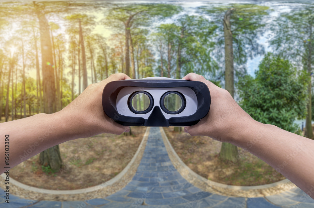 Panorama of a scenic forest of fresh green deciduous trees with the VR glasses Panorama of a scenic forest of fresh green deciduous trees with the VR glasses