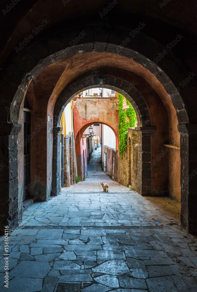 Tuscania (Italy) - A gorgeous etruscan and medieval town in province of Viterbo, Tuscia, Lazio region. It's a tourist attraction for the many churches and the lovely historic center.