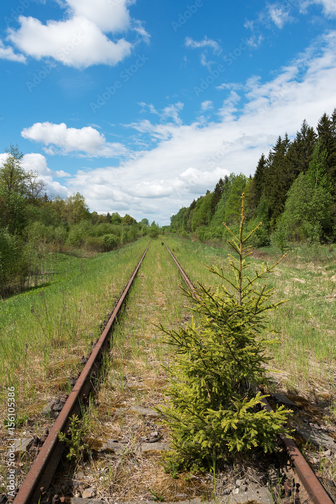 Fototapeta premium Abandoned railway in green landscape.