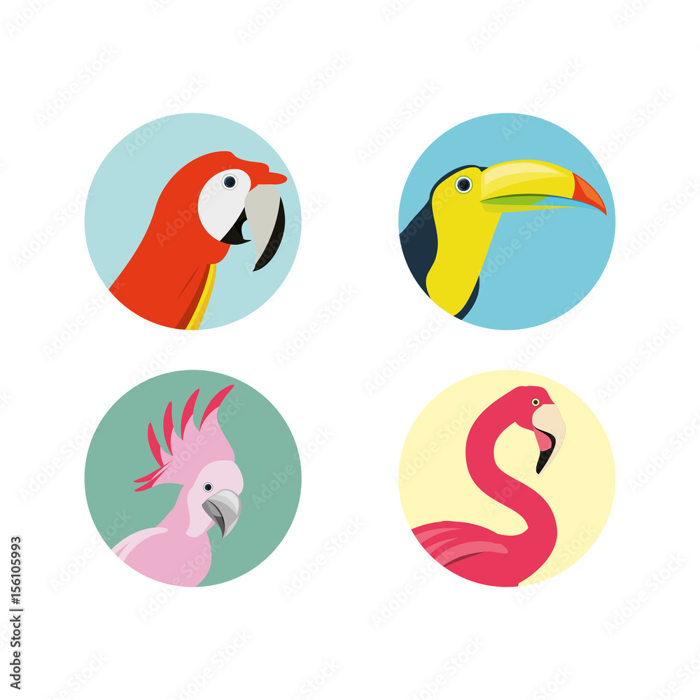 exotic bird heads set icon, vector illustration exotic bird heads set icon, vector illustration