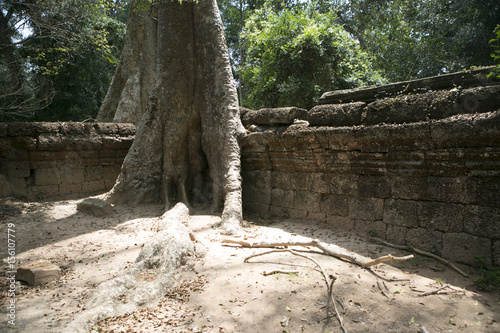 Cambodia Angkor Watt