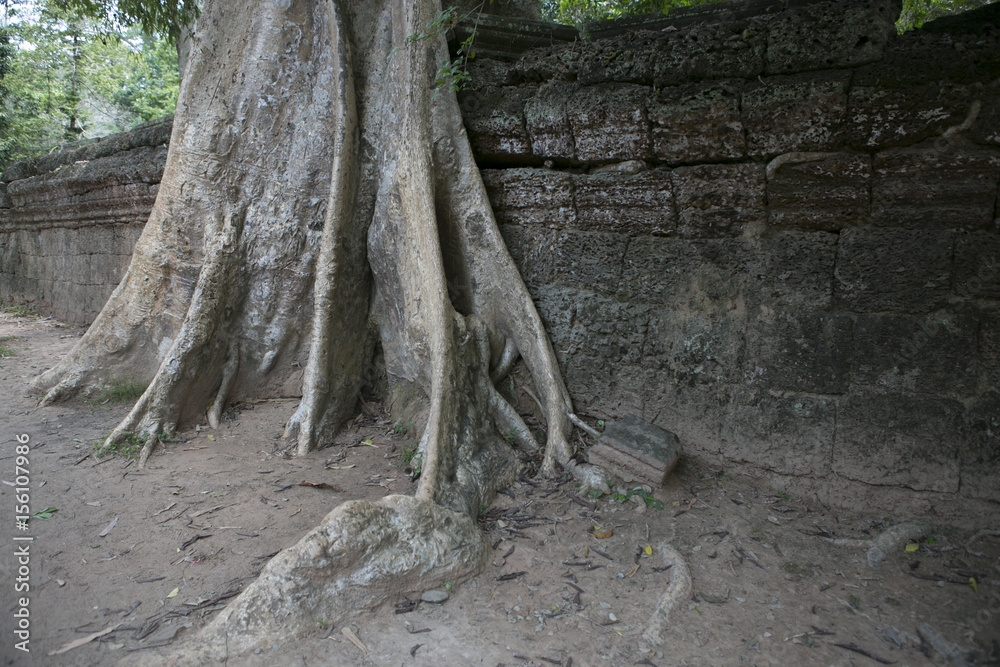 Cambodia Angkor Watt Cambodia Angkor Watt