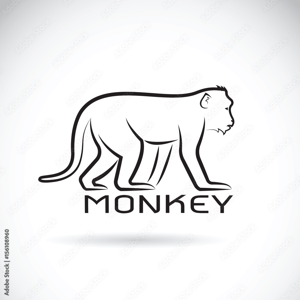 Vector of a monkey on white background. Wild Animal Vector of a monkey on white background. Wild Animal