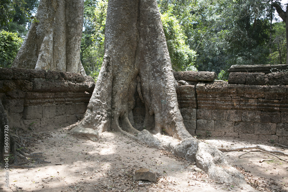 My Cambodia my Asia My Cambodia my Asia
