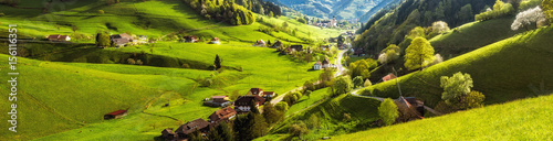 Scenic panoramic landscape of a picturesque mountain valley in spring. Scenic historic village with blossoming trees and traditional houses. Germany, Black Forest. Colourful travel background. photo