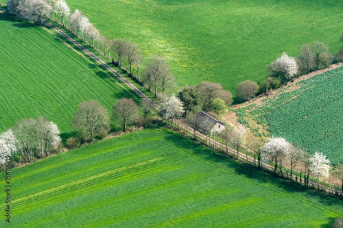 Vue aérienne, d'arbres en fleur près de Flers - 61 photo