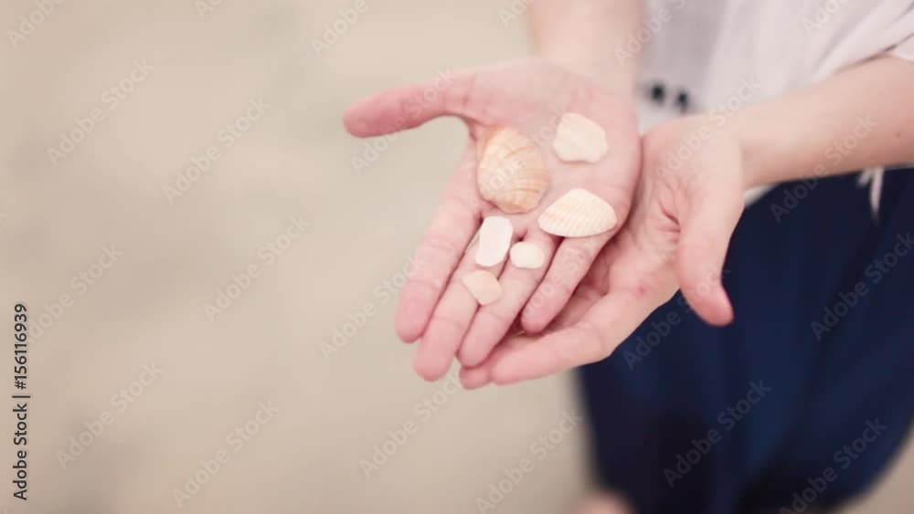 the girl in the hands holding seashells the girl in the hands holding seashells
