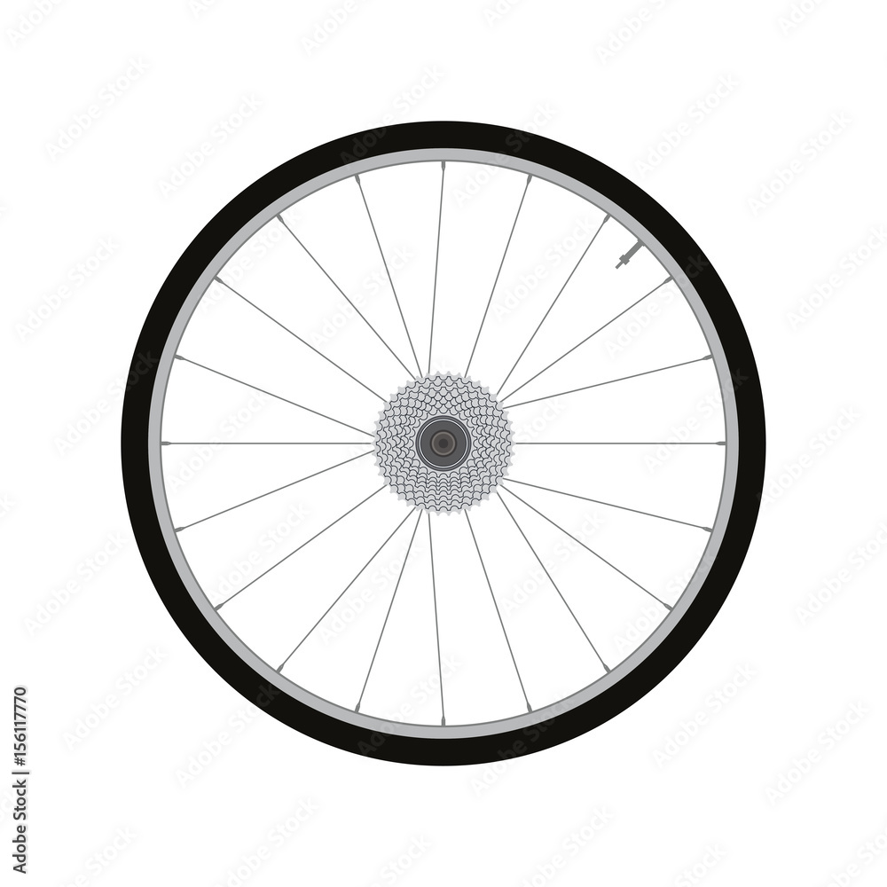 bicycle wheel rear wheel with gear vector
bicycle wheel rear wheel with gear vector