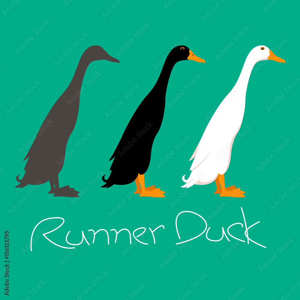 Fototapeta premium runner duck vector illustration style Flat side profile