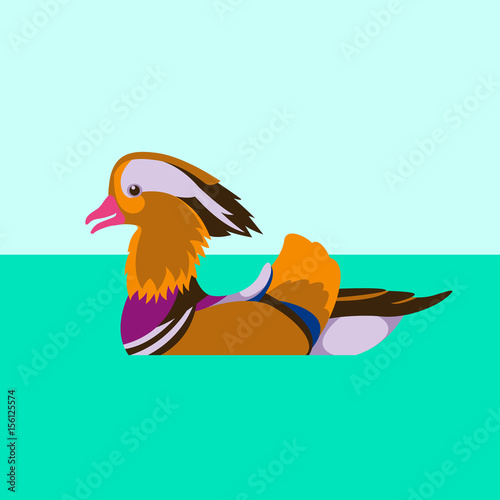 mandarin duck bird vector illustration style Flat 