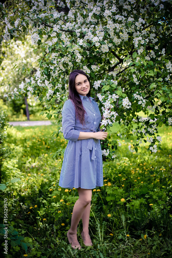 The girl beside a blossoming apple tree The girl beside a blossoming apple tree