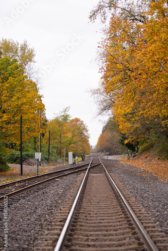 Railroad going into the beautiful yellow autumn