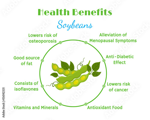 Health benefits of soybeans. Natural eco-friendly vegetarian nutrition. Flat style
