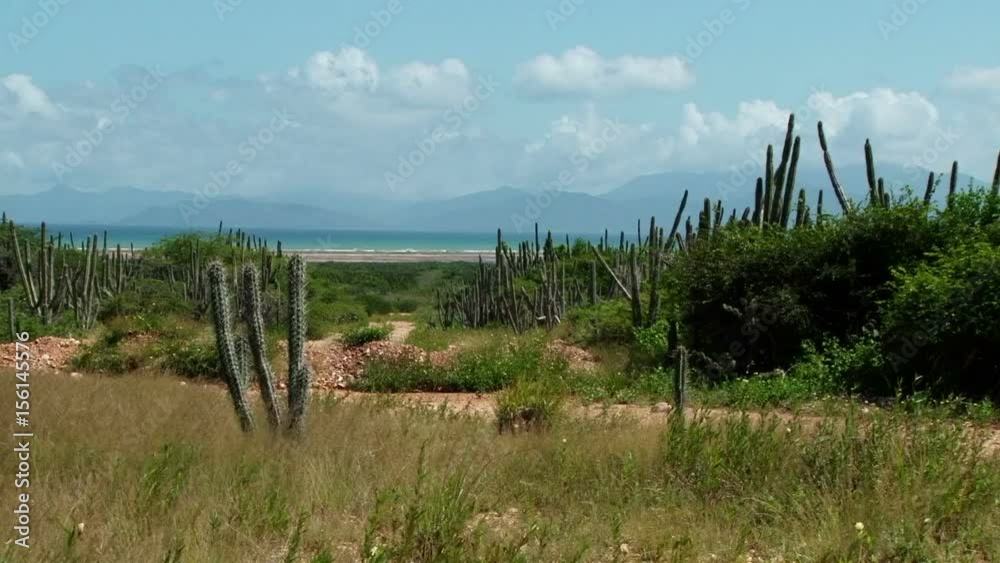 Landscape of Macanao Peninsula in Margarita Island, Venezuela. Taken on sunny windy day Landscape of Macanao Peninsula in Margarita Island, Venezuela. Taken on sunny windy day
