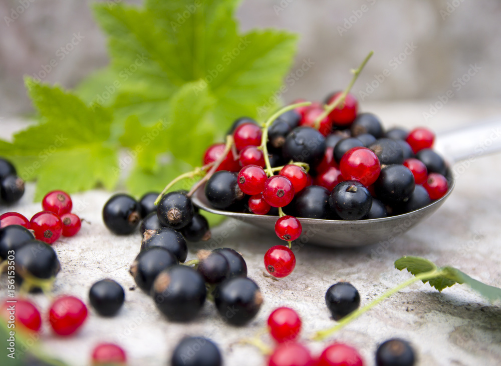 ripe black and red berry currants ripe black and red berry currants