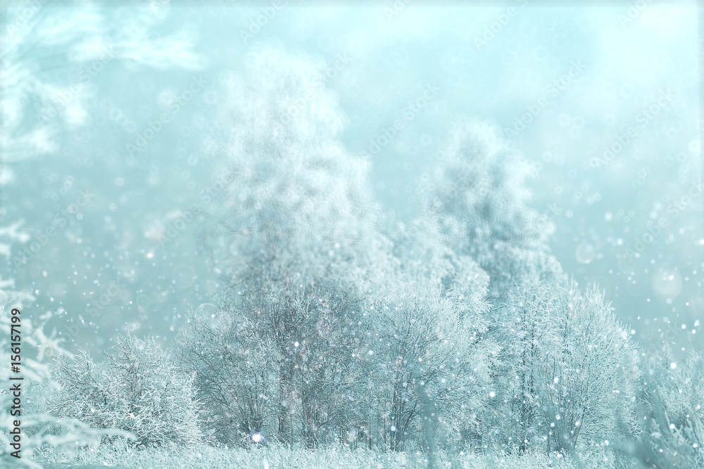 Winter forest blurred background snow landscape Winter forest blurred background snow landscape