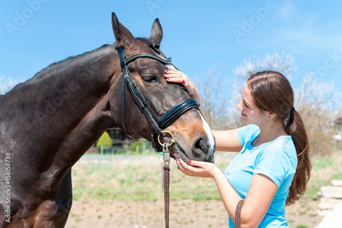 Preparing for horse training. Lady owner scratching her favorite horse