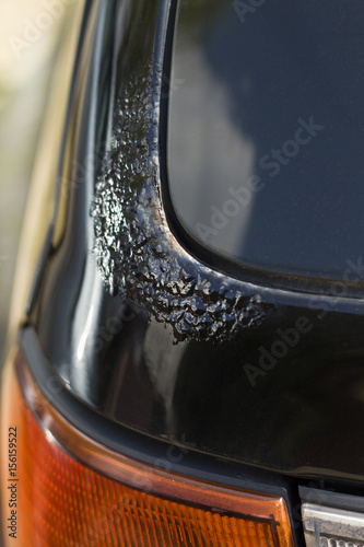 Korozja na czarnym lakierze samochodu osobowego na klapie bagażnika. © Tomasz