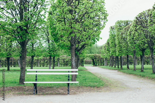 A wooden bench in the park. Free space for text. © Artem