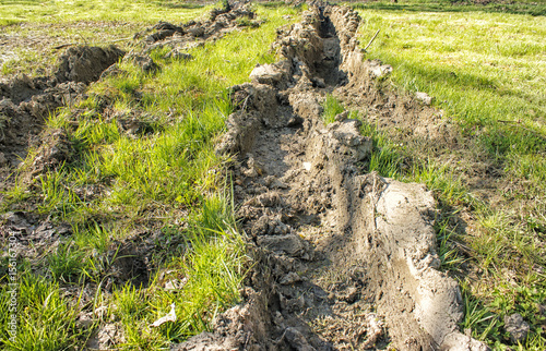 Εκτύπωση καμβά deep rut on the lawn