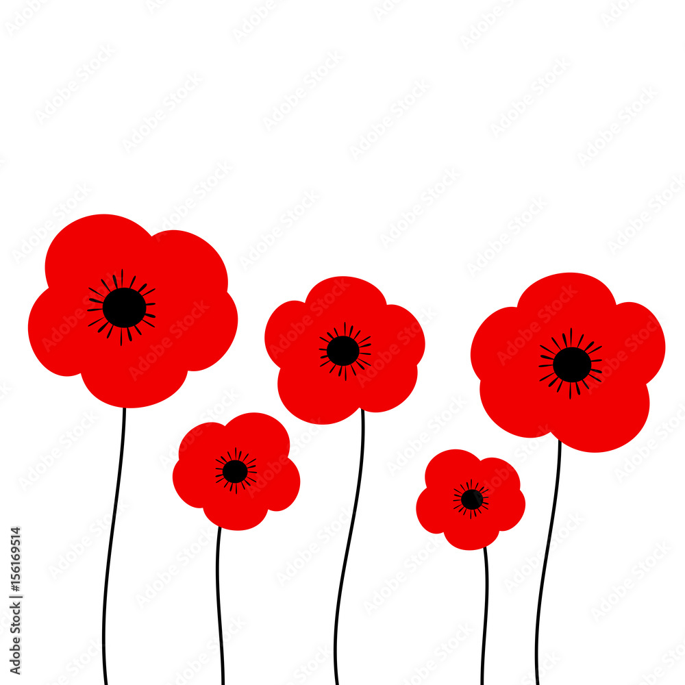 Obraz poppies vector illustration isolated on white background