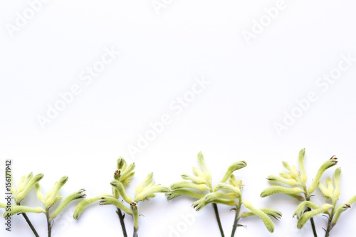 Floral Arrngement On White Background photo
