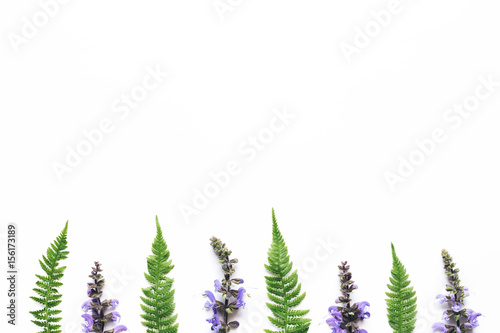 Wildflowers And Fern Leaves Arrangment On White Background