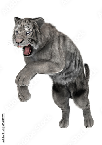 Fototapeta Naklejka Na Ścianę i Meble -  3D Rendering White Tiger on White