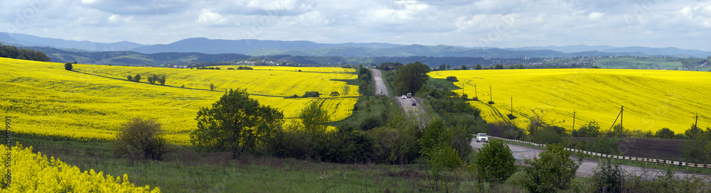 Rape fields and highway