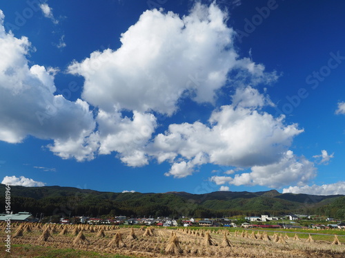 秋空の稲刈り後の水田