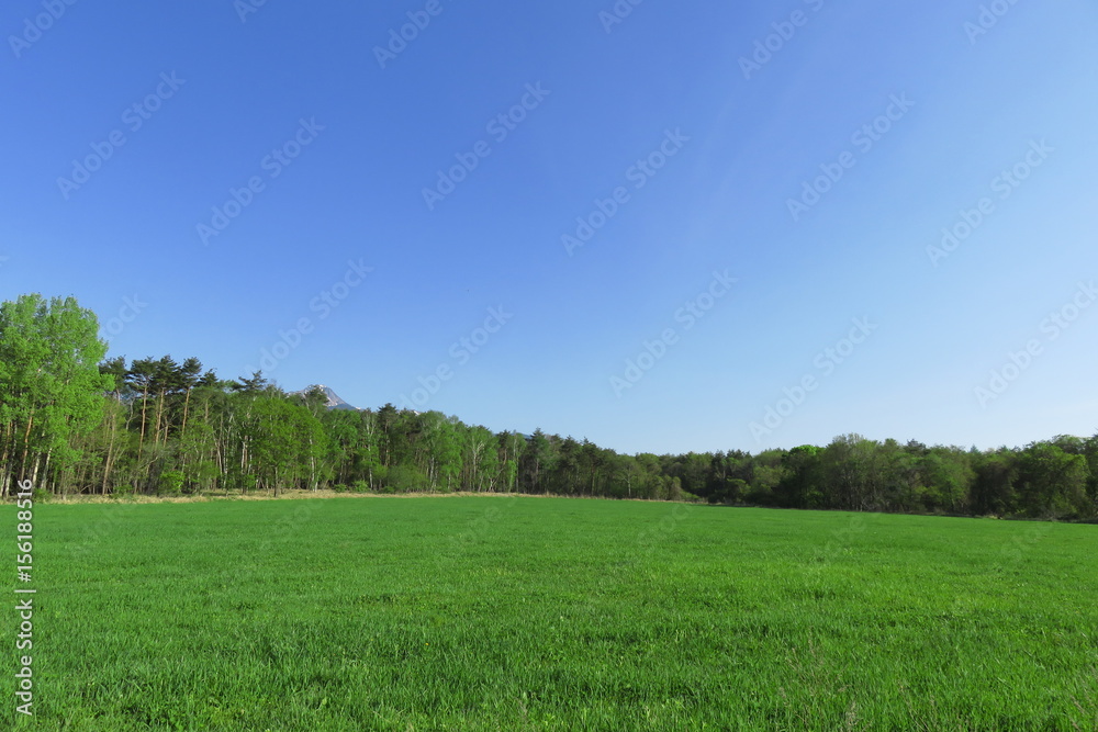 Obraz premium 野辺山