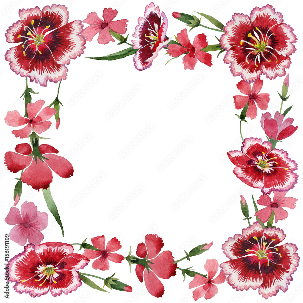 Obraz premium Wildflower carnation flower frame in a watercolor style isolated.