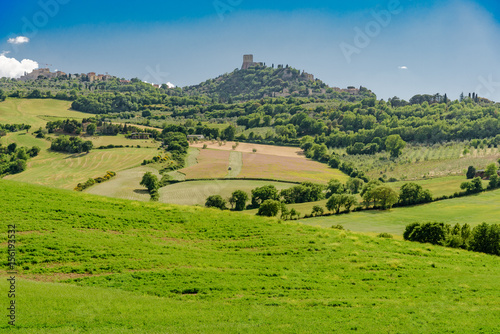 Perfect panorama of green hills with blue sky and fluffy clouds