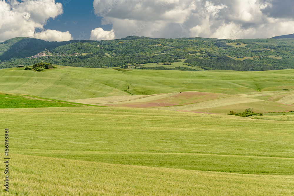 Obraz premium Perfect panorama of green hills with blue sky and fluffy clouds