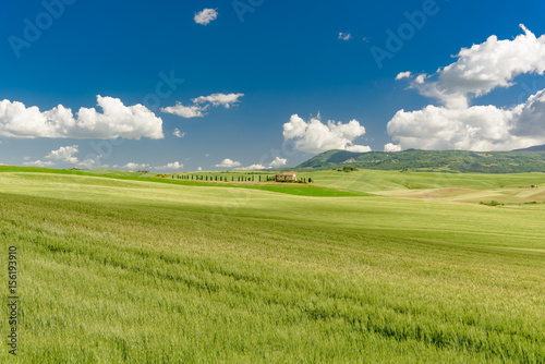 Perfect panorama of green hills with blue sky and fluffy clouds photo