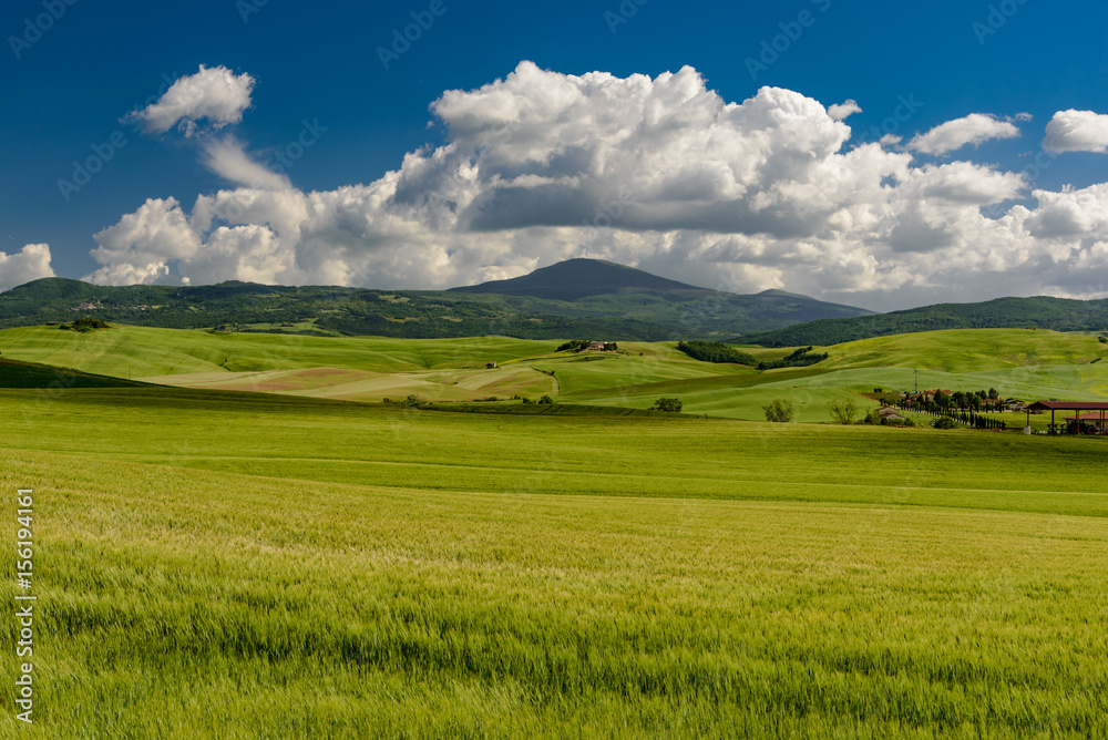 Perfect panorama of green hills with blue sky and fluffy clouds