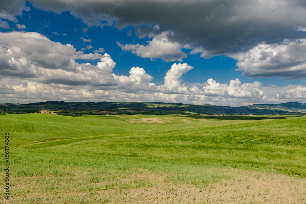 Perfect panorama of green hills with blue sky and fluffy clouds