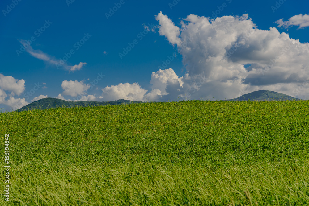 Obraz premium Perfect panorama of green hills with blue sky and fluffy clouds