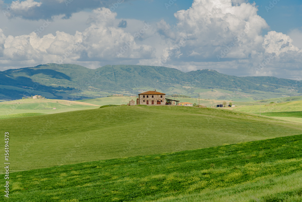 Obraz premium Perfect panorama of green hills with blue sky and fluffy clouds