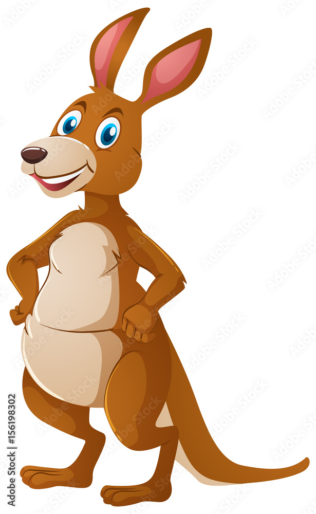 Kangaroo with happy face Kangaroo with happy face