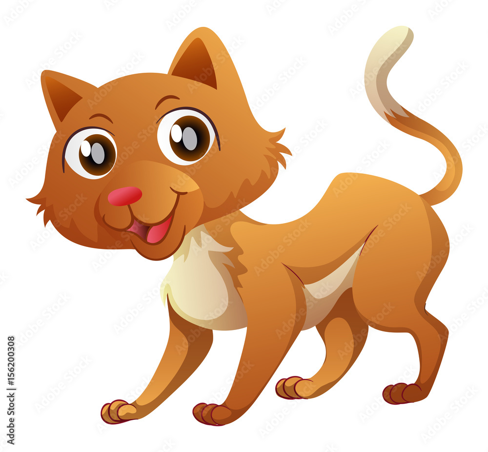 Obraz premium Little cat with happy face