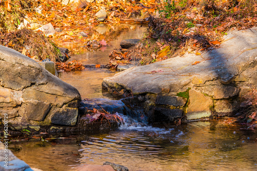 Little creek in the Stone Mountain Park in sunny autumn day, Georgia, USA