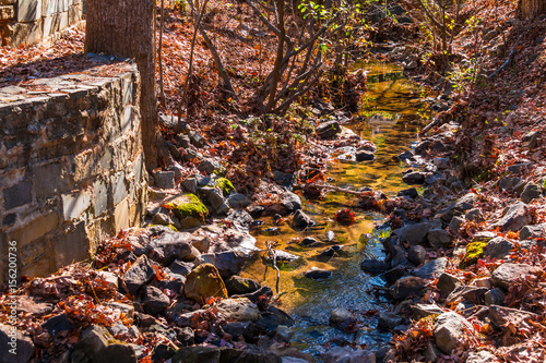 Little creek in the Stone Mountain Park in sunny autumn day, Georgia, USA
