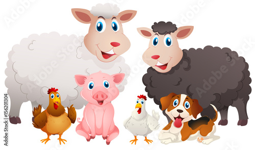 Different types of farm animals © brgfx