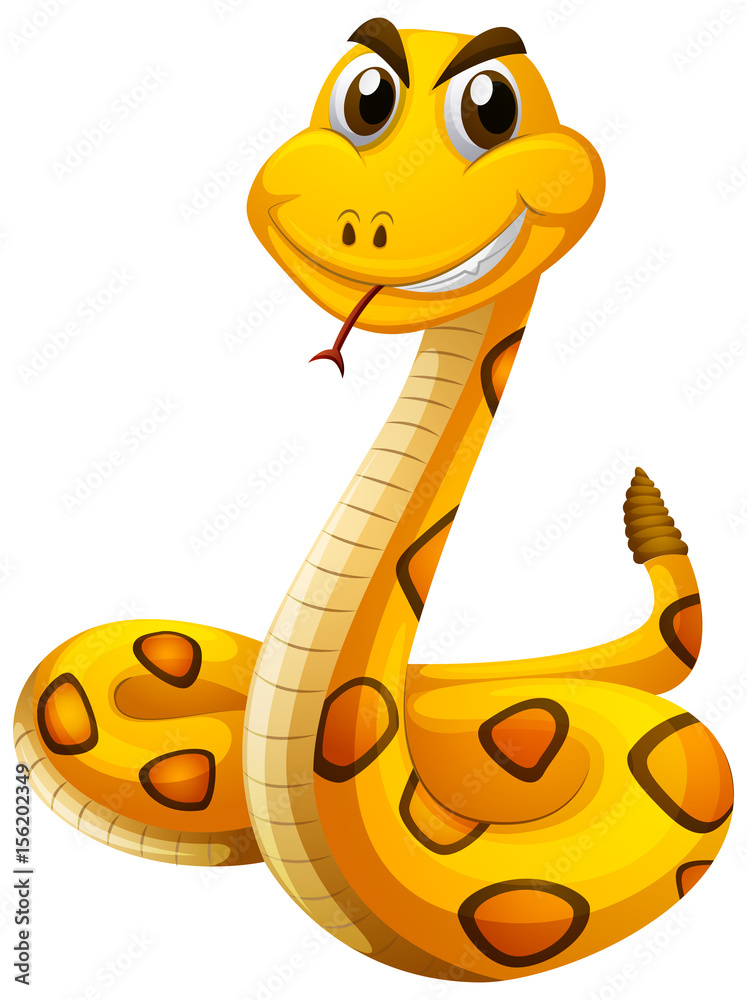 Fototapeta premium Wild snake with yellow skin