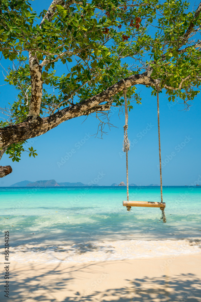 Fototapeta premium swing hang on big tree over beach sea