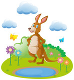 Cute kangaroo by the pond