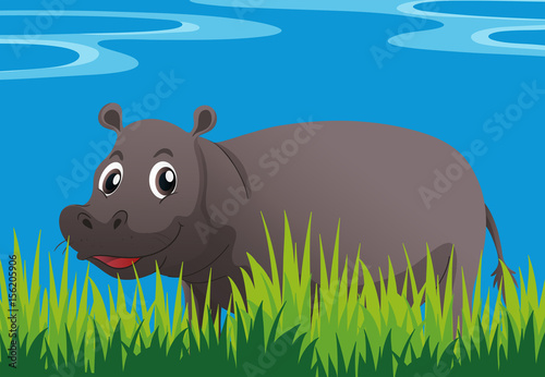 Happy hippo in the garden