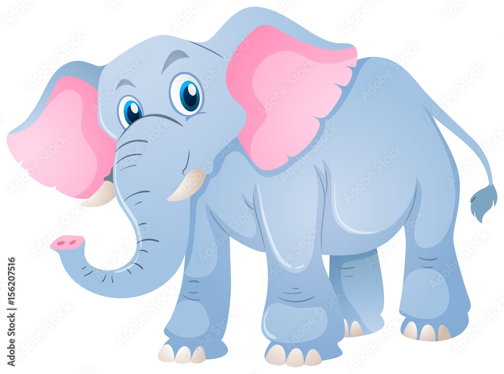 Blue elephant on white background Blue elephant on white background